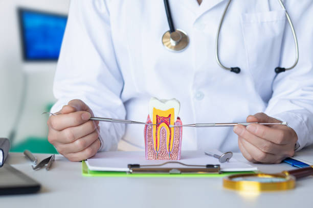 Best Emergency Tooth Extraction in Capron, IL